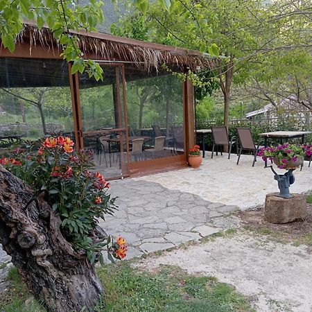 Xenonas Souliou Hotel Samonida Luaran gambar