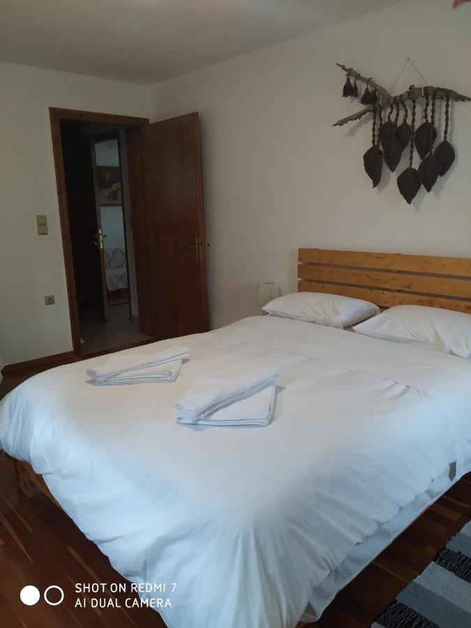 Xenonas Souliou Hotel Samonida Luaran gambar