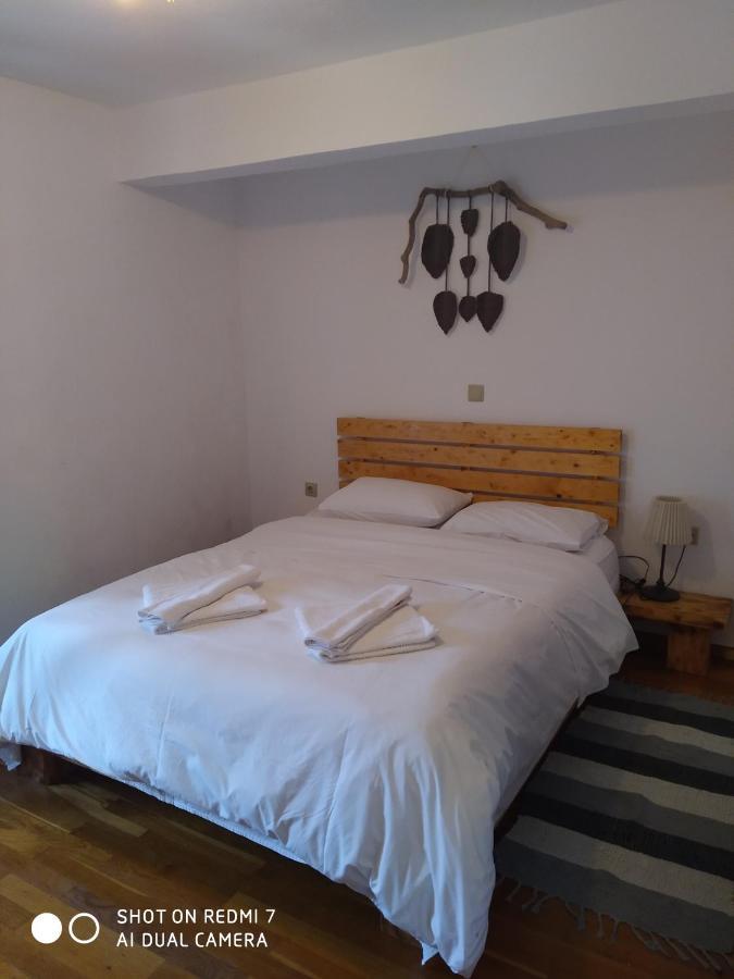 Xenonas Souliou Hotel Samonida Luaran gambar